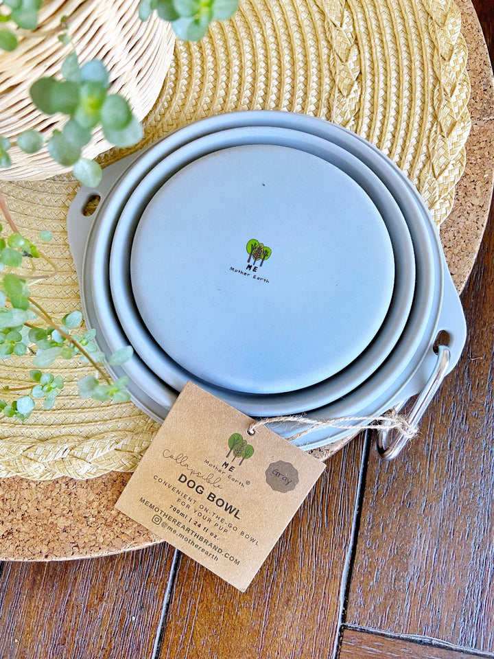 image of silicone collapsible dog bowl in blue